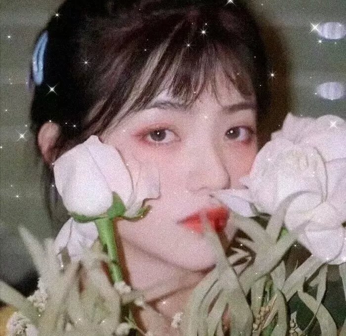 成双不成对封面